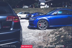 ascs_bbq_lens_170826_-104